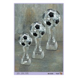Coppa Pallone in Cristallo