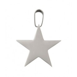 PENDENTE STELLA