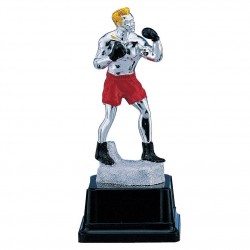 Trofeo Pugile