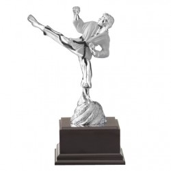 Trofeo karate