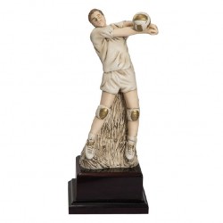 Trofeo pallavolista